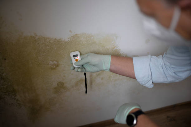 Best HVAC Mold Remediation in Liberty Lake, WA